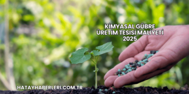 Kimyasal Gübre Üretim Tesisi Maliyeti 2025