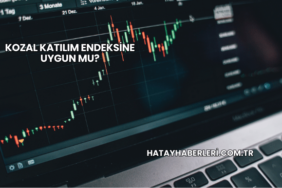 Kozal Katılım Endeksine Uygun mu?