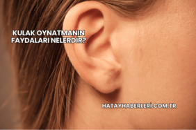 Kulak Oynatmanın Faydaları Nelerdir?