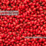 Kuşburnu Reçelinin Faydaları Nelerdir?