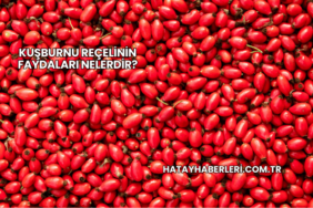 Kuşburnu Reçelinin Faydaları Nelerdir?