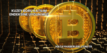 Kuzey Boru Katılım Endeksine Uygun mu?