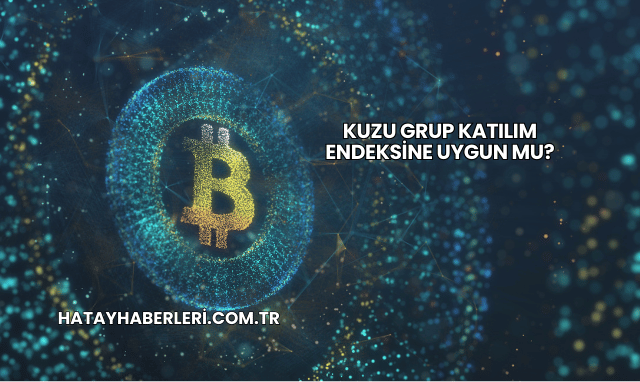Kuzu Grup Katılım Endeksine Uygun mu?