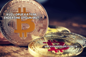Kuzu Grup Katılım Endeksine Uygun mu?