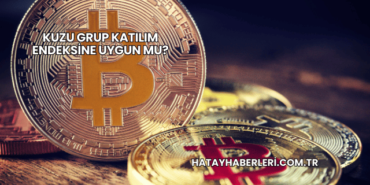 Kuzu Grup Katılım Endeksine Uygun mu?