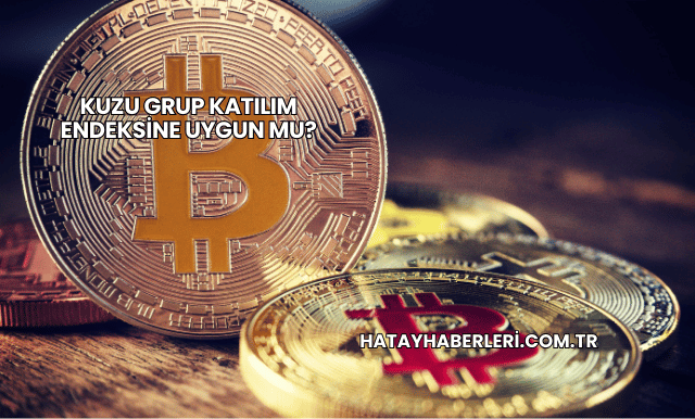Kuzu Grup Katılım Endeksine Uygun mu?