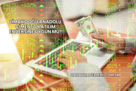 Limak Doğu Anadolu Çimento Katılım Endeksine Uygun mu?