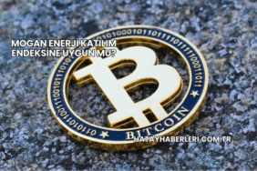 Mogan Enerji Katılım Endeksine Uygun mu?