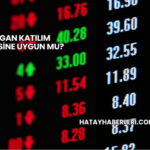 Mogan Katılım Endeksine Uygun mu?