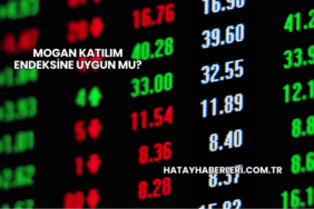 Mogan Katılım Endeksine Uygun mu?