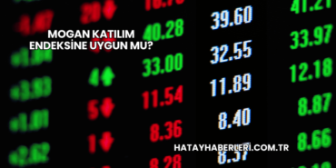 Mogan Katılım Endeksine Uygun mu?