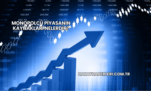 Monopolcü Piyasanın Kaynakları Nelerdir?