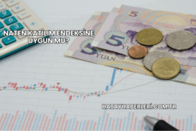 Naten Katılım Endeksine Uygun mu?