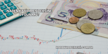 Naten Katılım Endeksine Uygun mu?