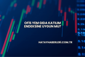 Ofis Yem Gıda Katılım Endeksine Uygun mu?
