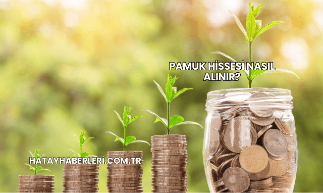 Pamuk Hissesi Nasıl Alınır?