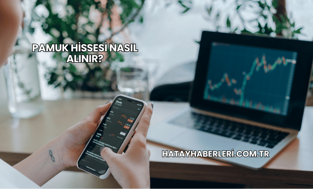Pamuk Hissesi Nasıl Alınır?