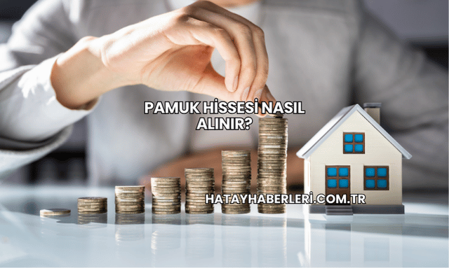 Pamuk Hissesi Nasıl Alınır?