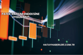 Patek Katılım Endeksine Uygun mu?