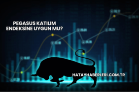 Pegasus Katılım Endeksine Uygun mu?