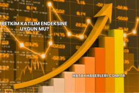 Petkim Katılım Endeksine Uygun mu?