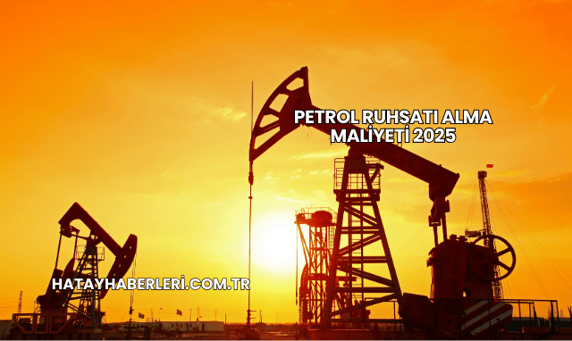 Petrol Ruhsatı Alma Maliyeti 2025