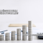 Reeder Hisse Katılım Endeksine Uygun mu?