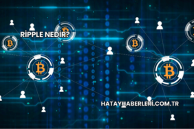 Ripple Nedir?