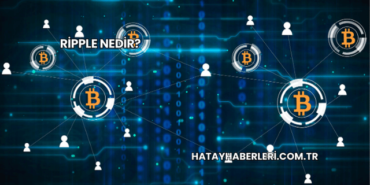 Ripple Nedir?