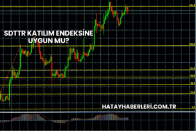 SDTTR Katılım Endeksine Uygun mu?