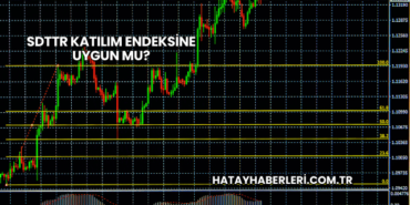 SDTTR Katılım Endeksine Uygun mu?