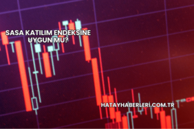 Sasa Katılım Endeksine Uygun mu?