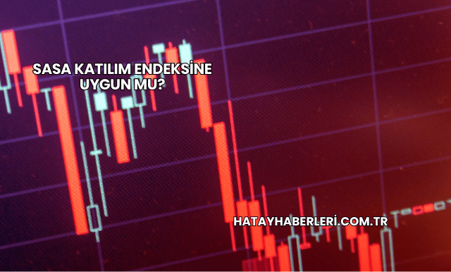 Sasa Katılım Endeksine Uygun mu?