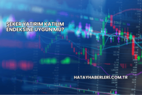 Şeker Yatırım Katılım Endeksine Uygun mu?