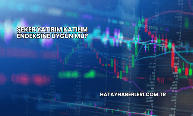 Şeker Yatırım Katılım Endeksine Uygun mu?