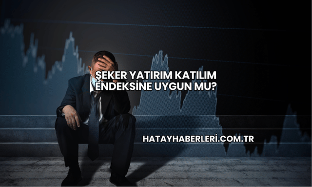 Şeker Yatırım Katılım Endeksine Uygun mu?
