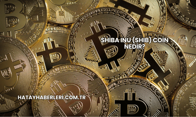 Shiba Inu (SHIB) Coin Nedir?