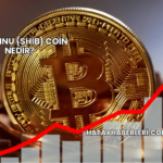 Shiba Inu (SHIB) Coin Nedir?