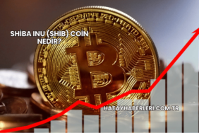Shiba Inu (SHIB) Coin Nedir?