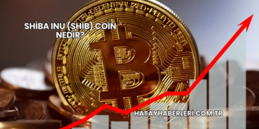 Shiba Inu (SHIB) Coin Nedir?