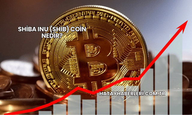 Shiba Inu (SHIB) Coin Nedir?