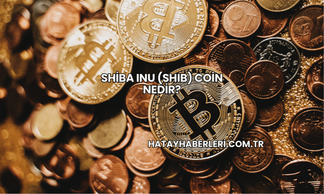 Shiba Inu (SHIB) Coin Nedir?