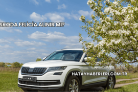 Skoda Felicia Alınır mı?