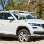 Skoda Forman Alınır mı?