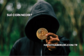 Sui Coin Nedir?