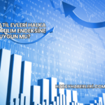 Sur Tatil Evleri Halka Arz Katılım Endeksine Uygun mu