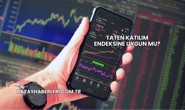 Taten Katılım Endeksine Uygun mu?