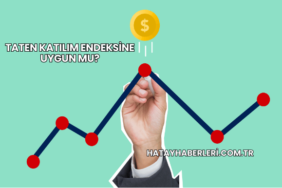 Taten Katılım Endeksine Uygun mu?
