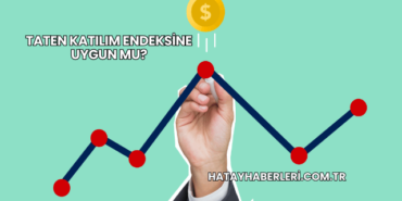 Taten Katılım Endeksine Uygun mu?