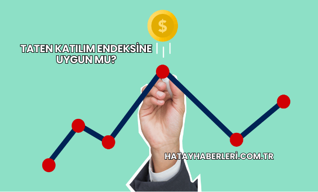 Taten Katılım Endeksine Uygun mu?